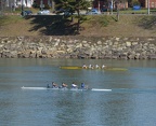 Men s Novice 4 g